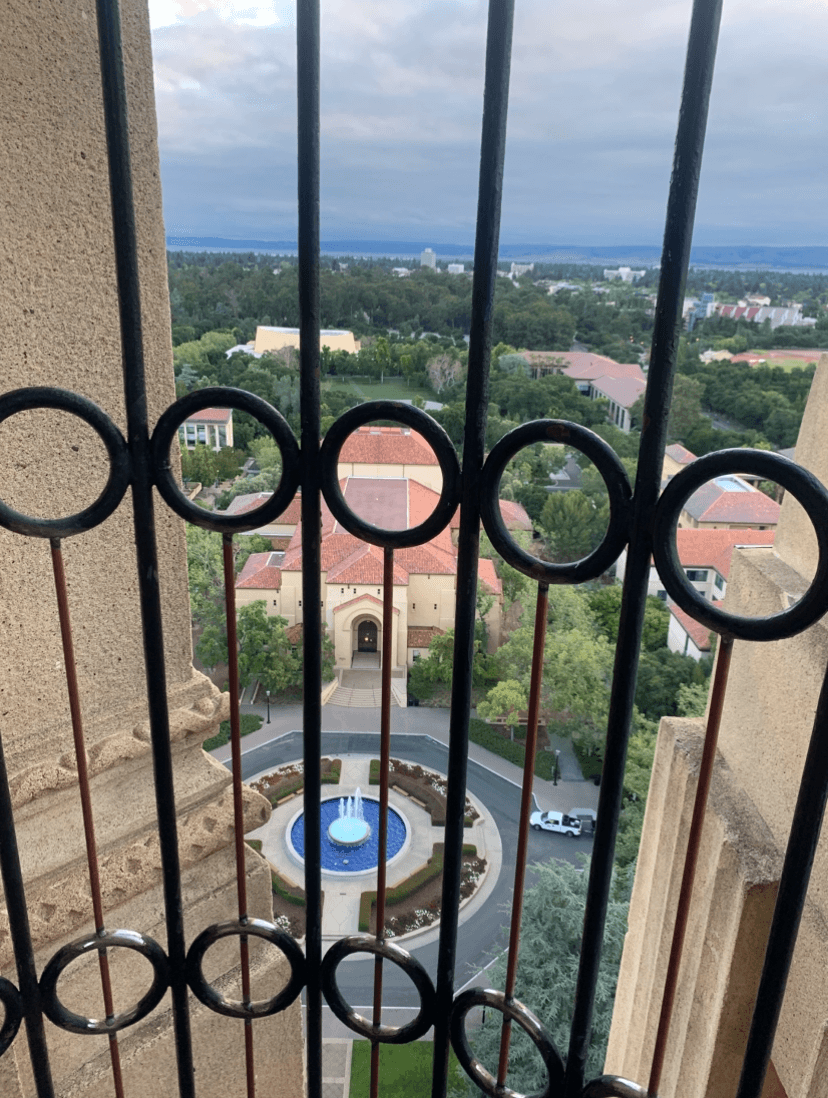 picture of newly welded luxury gate